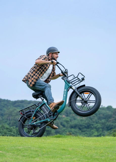 Electric Bicycle in Netherlands 2025