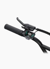 L20 Boost - Netherlands Ebike - NLEBIKE.COM