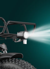 L20 Boost - Netherlands Ebike - NLEBIKE.COM