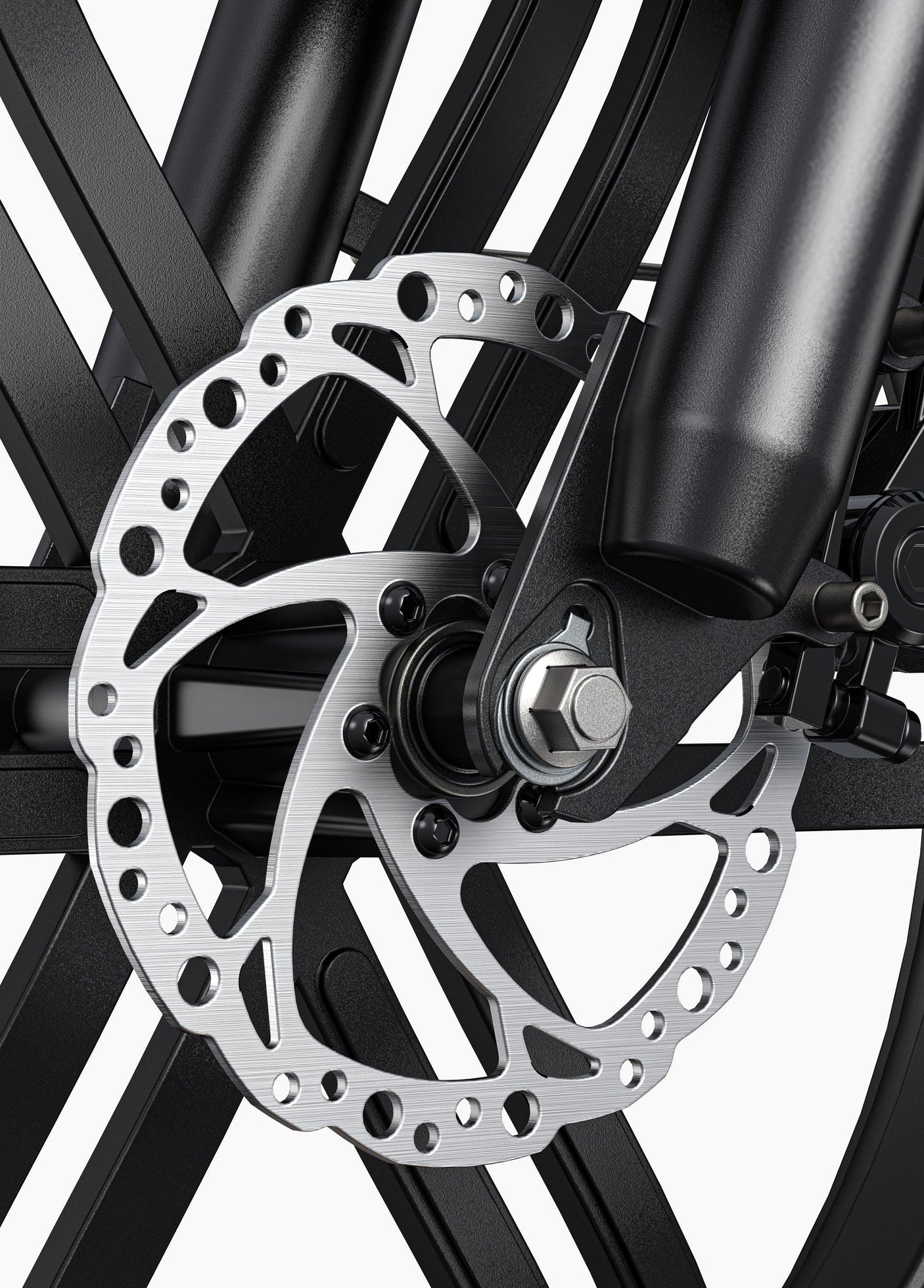 L20 Boost - Netherlands Ebike - NLEBIKE.COM