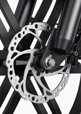 L20 Boost - Netherlands Ebike - NLEBIKE.COM